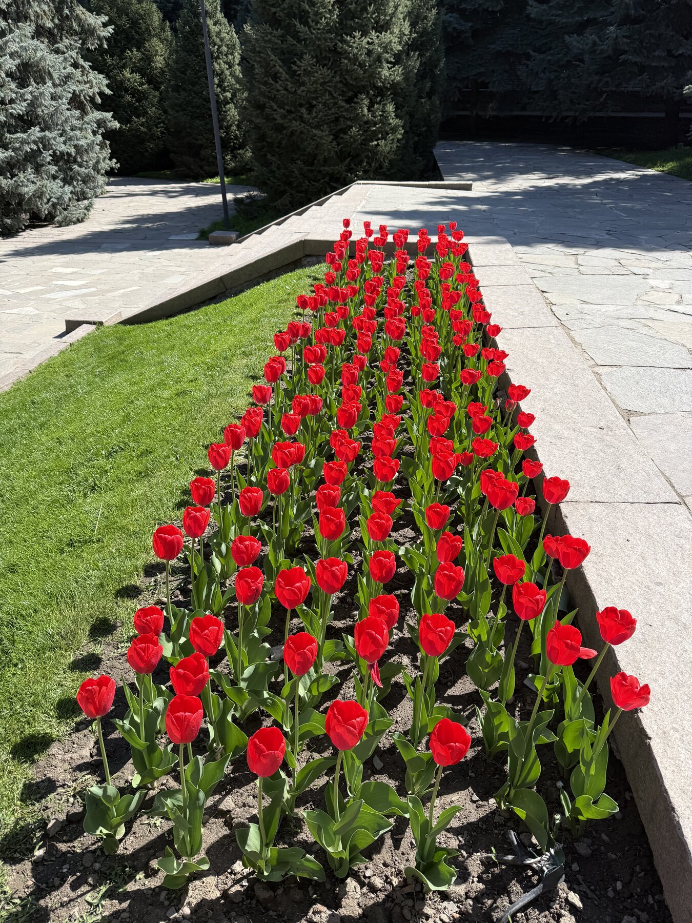 Inside Astana Hub — a world-class innovation ecosystem